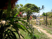 La Spiaza (Panama)...un anno e mezzo dopo...